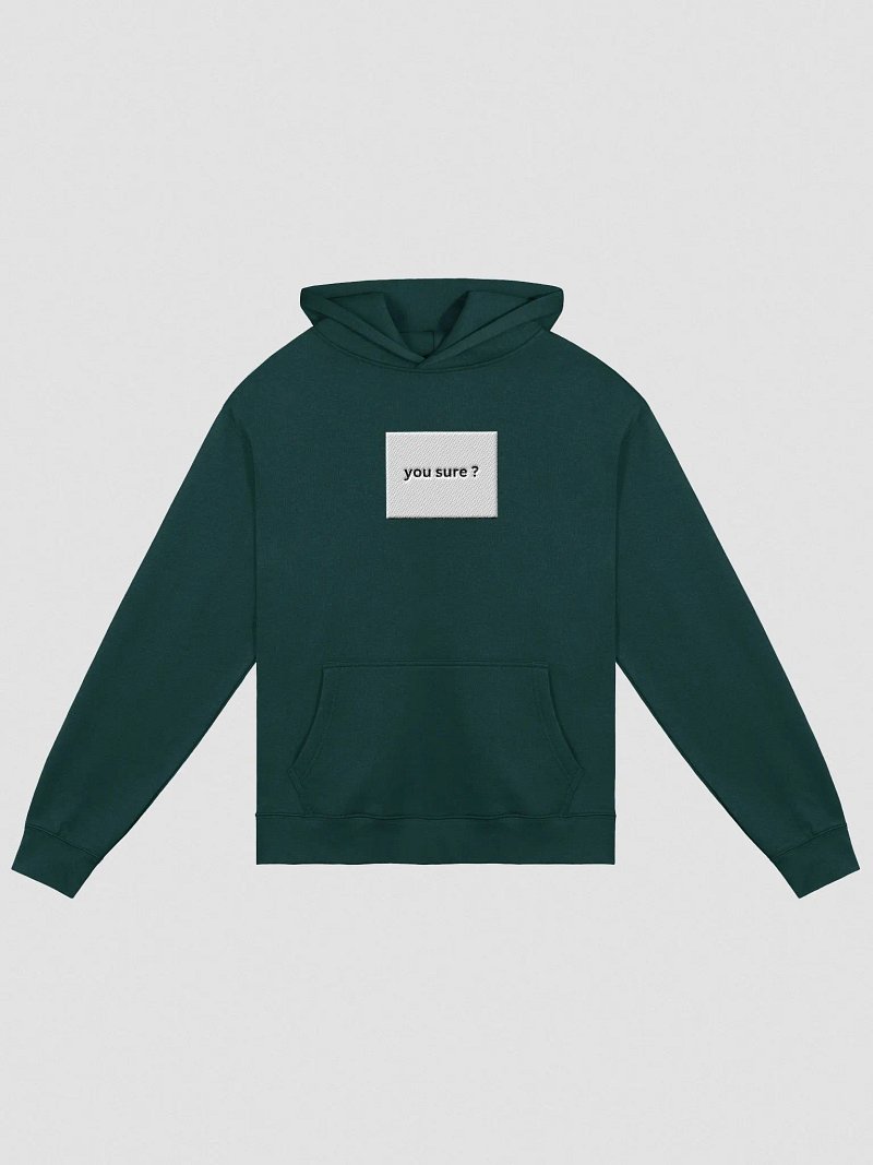 Rimas Zeimys hoodie