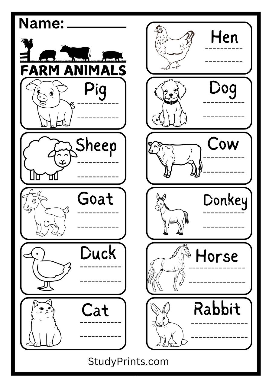 Farm Animals Matching Worksheet Printable product image (1)