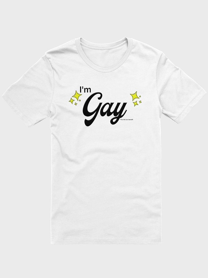I'm Gay (for the tax benefit) Charity Tee product image (1)