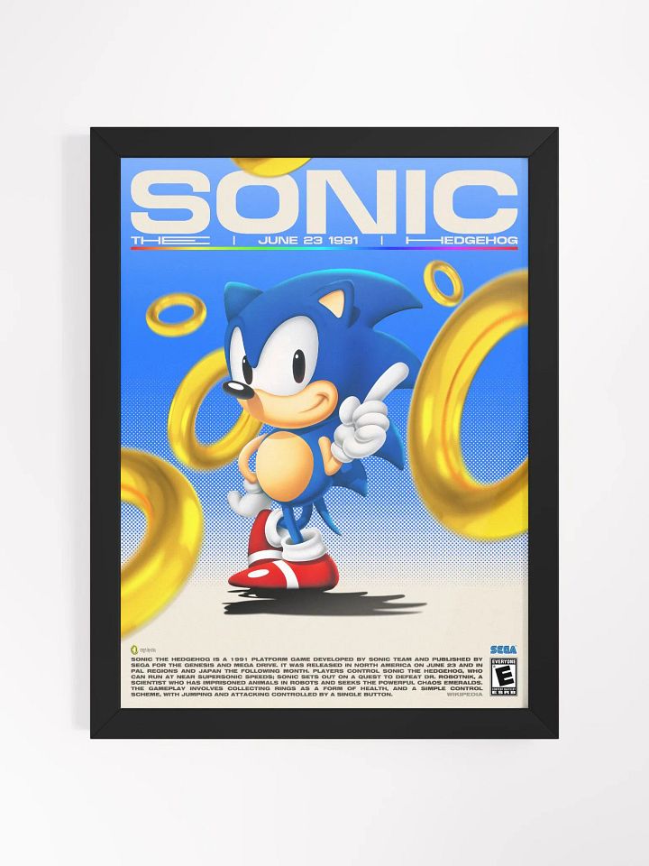 SONIC THE HEDGEHOG FRAME product image (1)