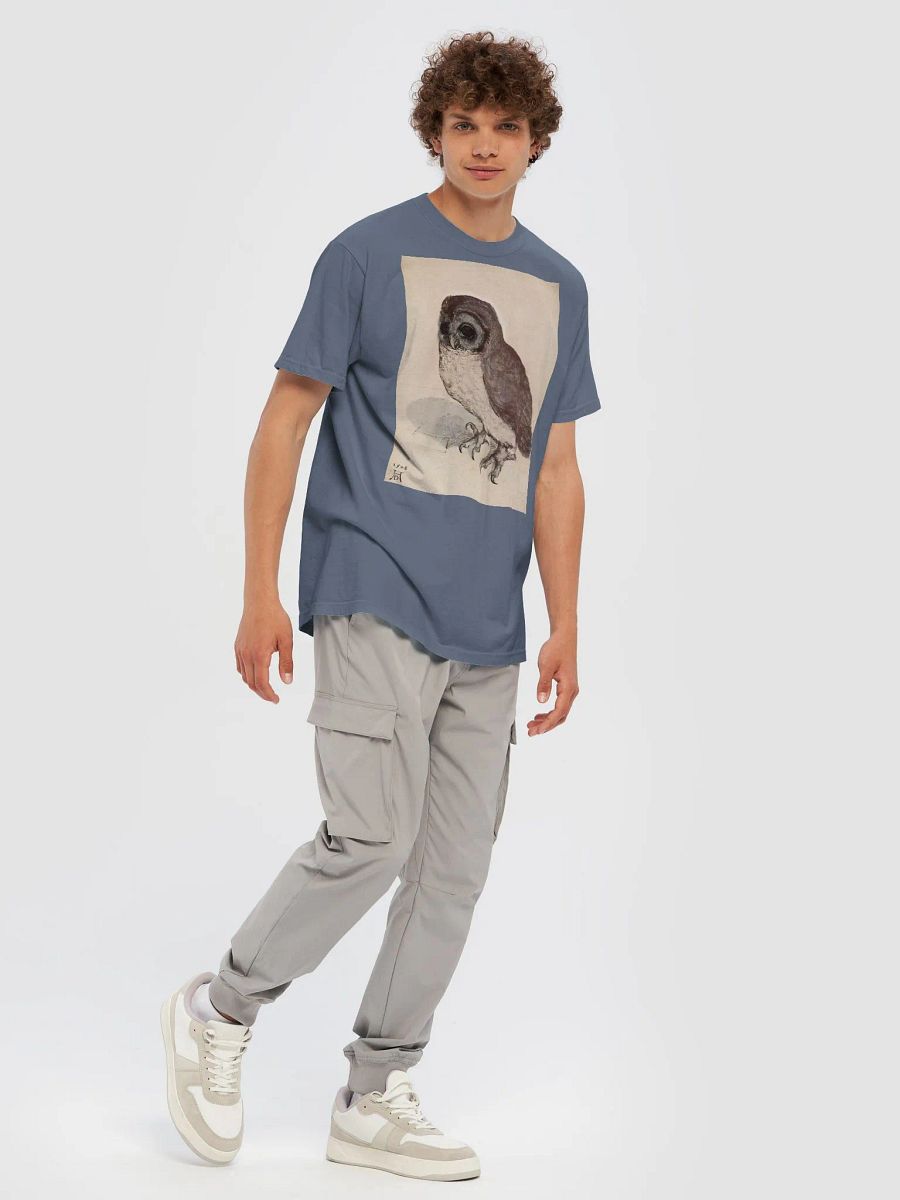 Albrecht Durer The Little Owl Graphic Tee product image (98)