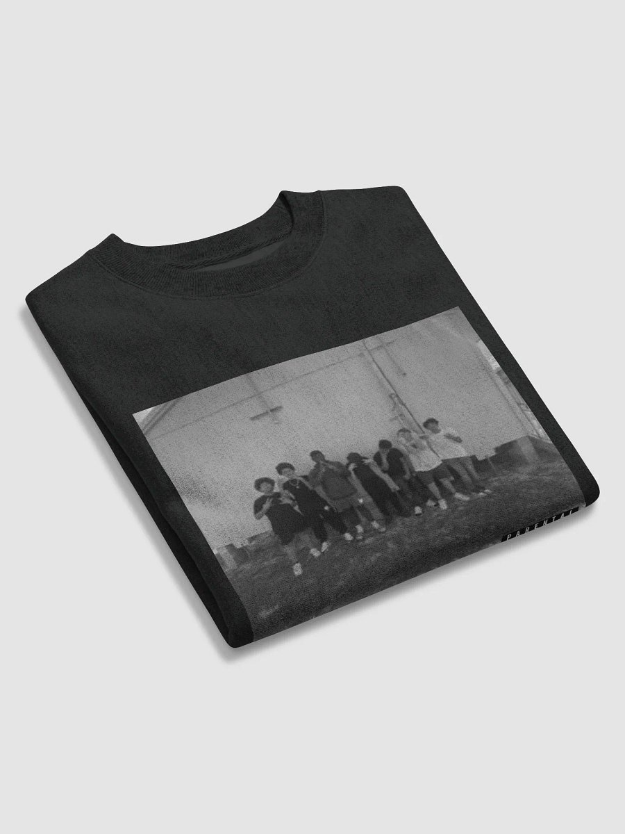 Explicit Comfort Champion TTSL Sweatshirt product image (5)