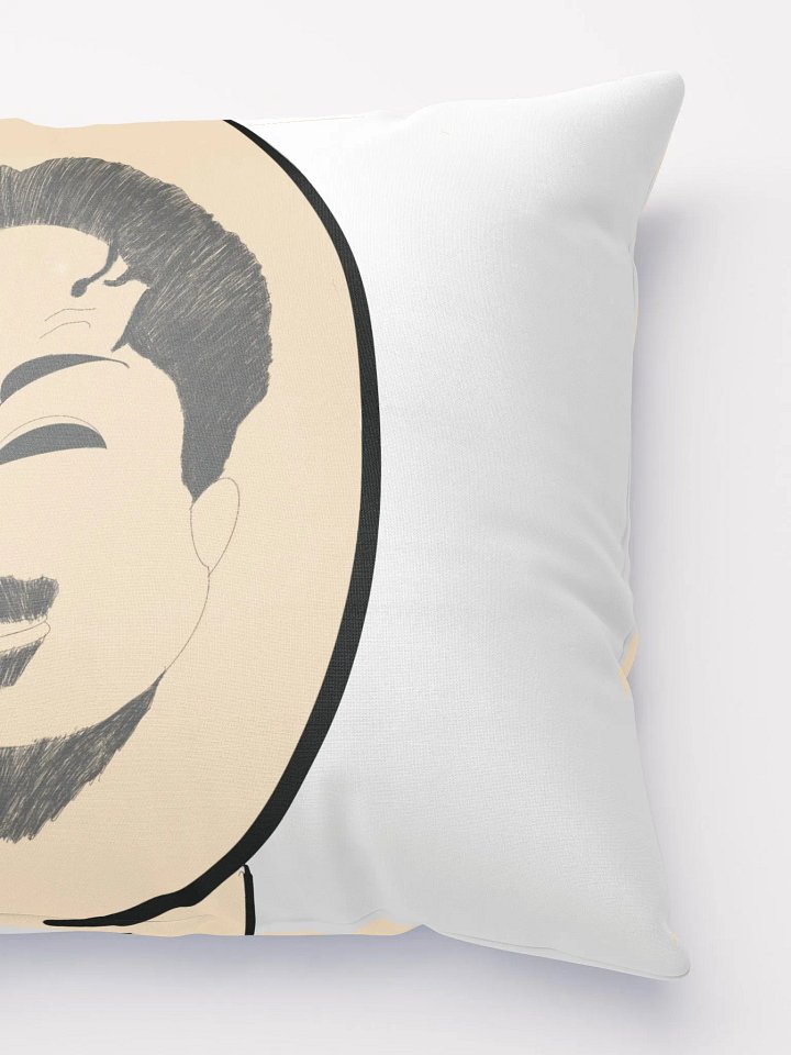 #TeamButt Pillow product image (3)