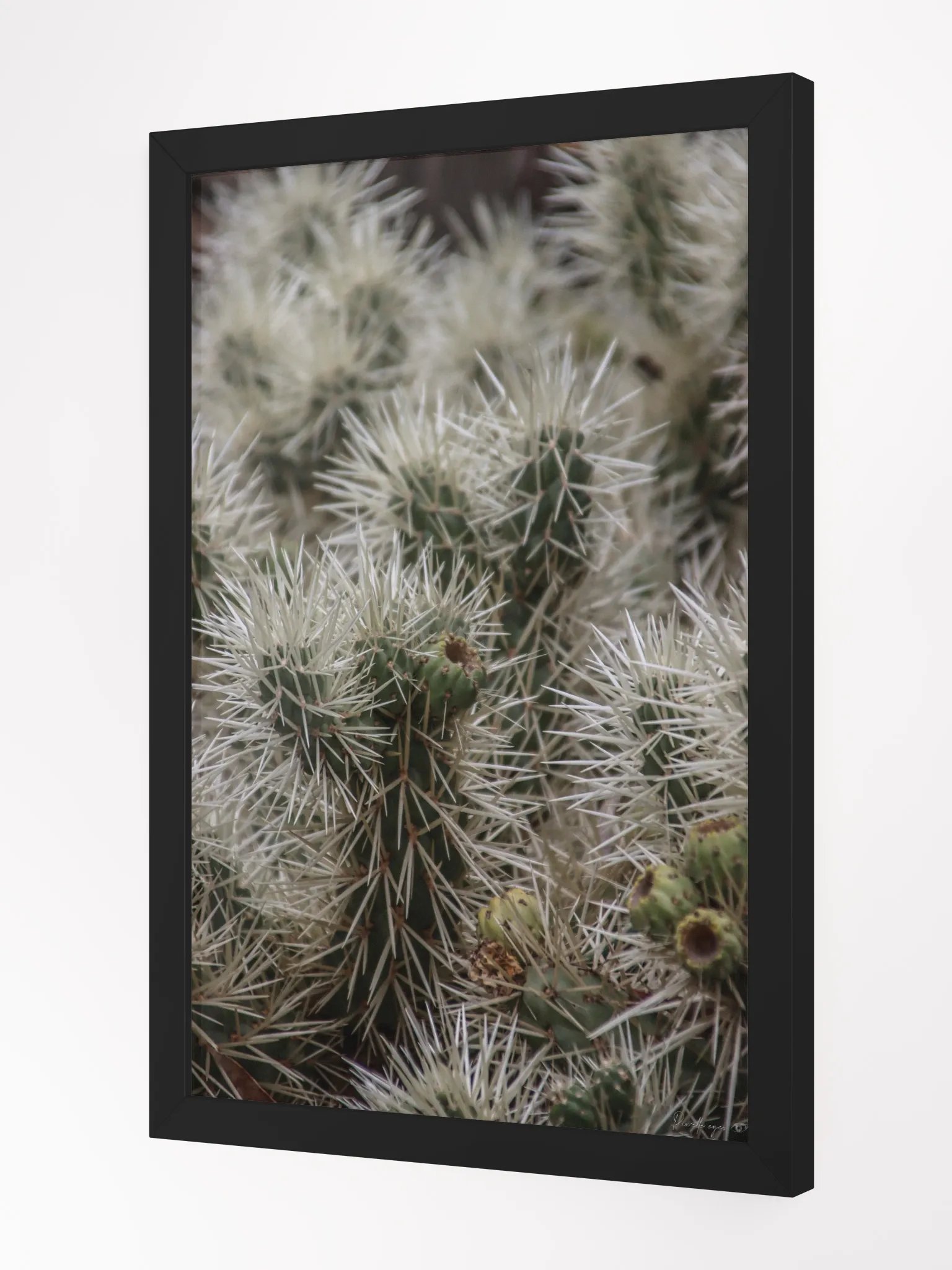 🌵 Fine Art – Underneath the Armor product image (4)