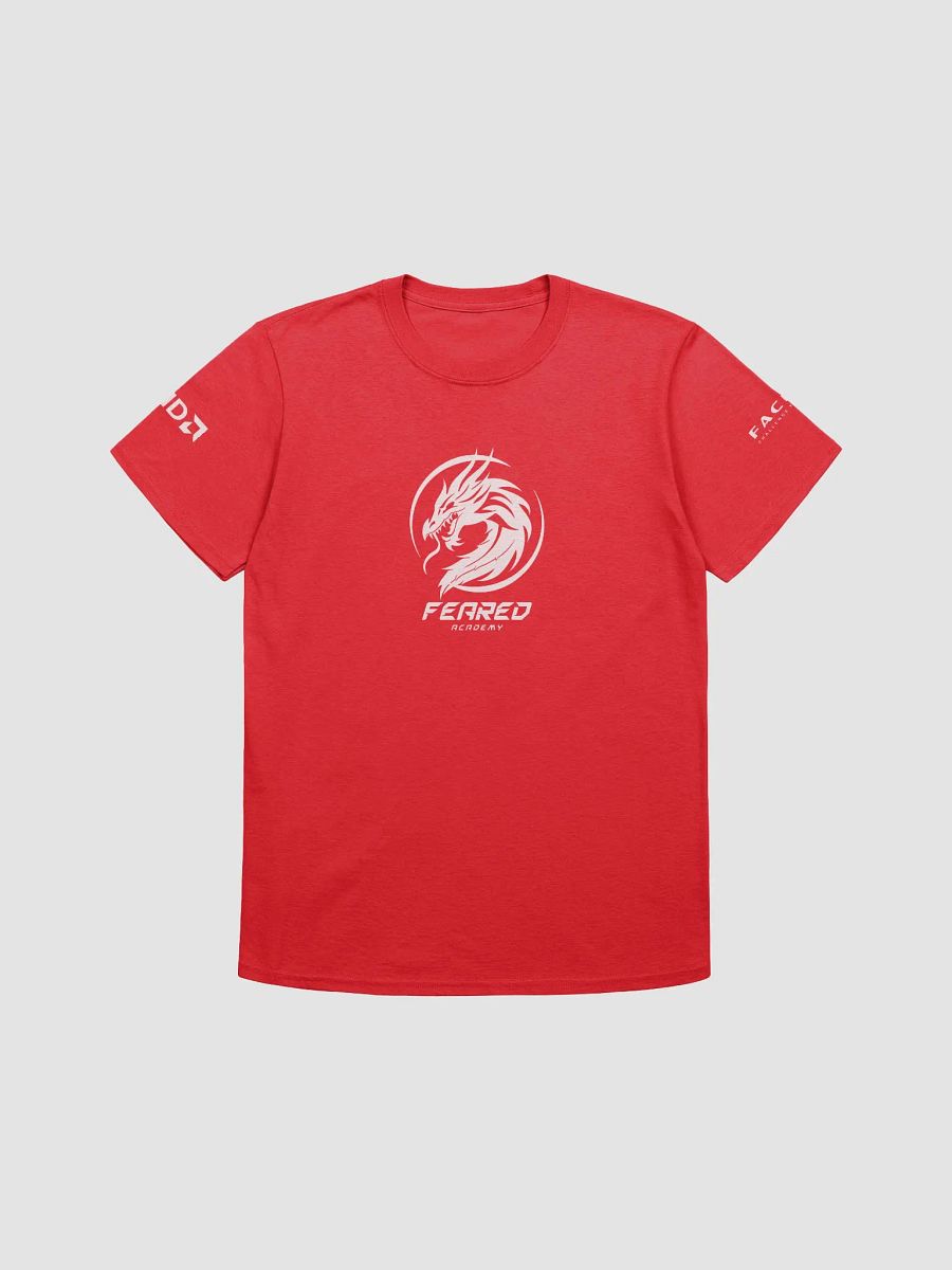 FEARED ACADEMY Warmup tee product image (6)