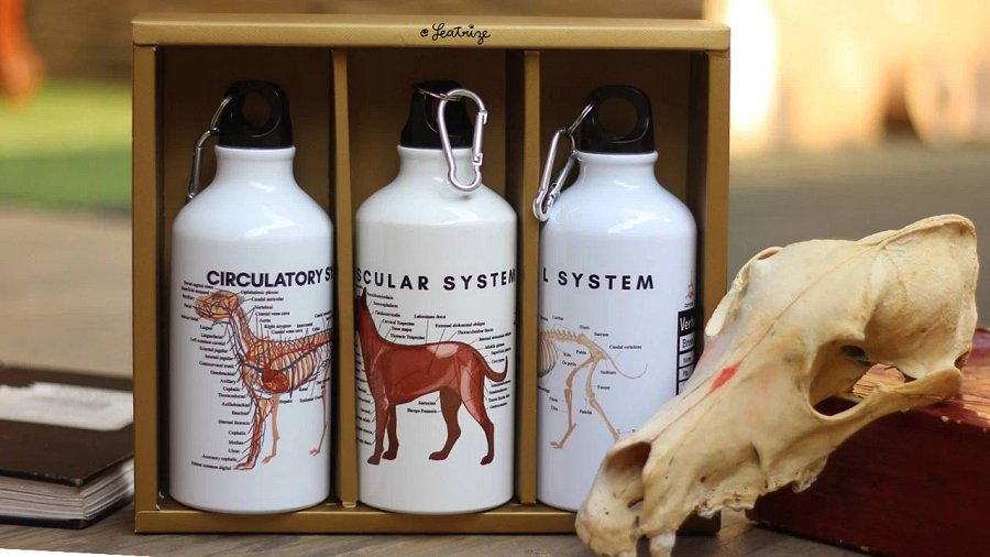 Canine Body System Sports Jug Set product image (11)
