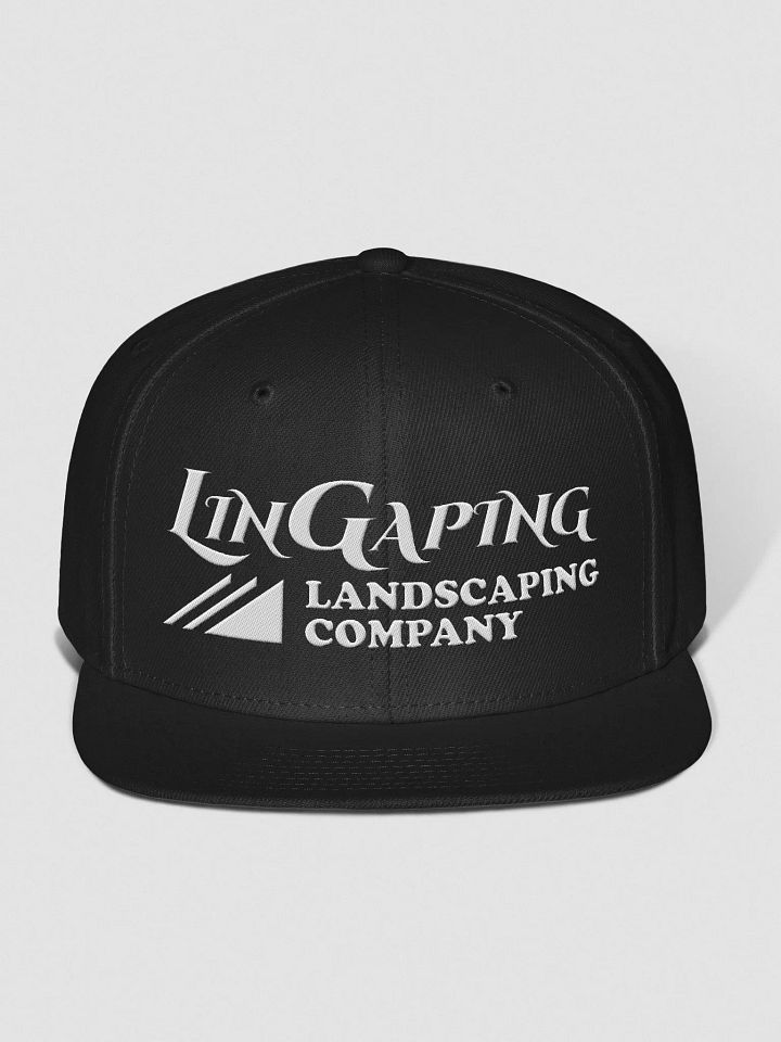 LLC snapback hat product image (1)