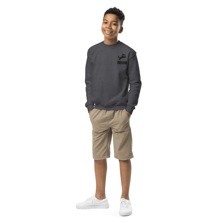Sweatshirt product image (2)