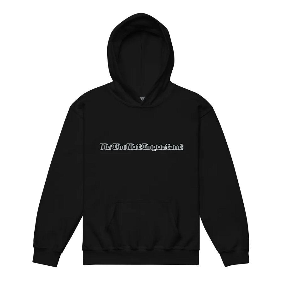 Youth Heavy Blend Hoodie - Mr I'm Not Important product image (8)