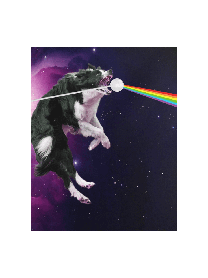 Border Collie Dark Side Of The Cosmos Poster product image (1)