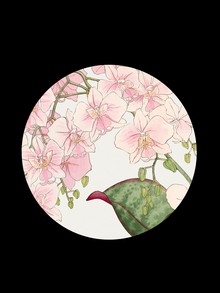 Orchid. Hardcover JournalBook® product image (1)