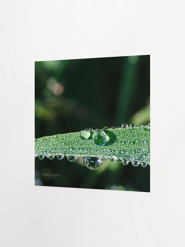 Dew Gems #2 - Print product image (6)