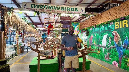 Link in Bio❗️We had the pleasure of touring @everything_birds in Tampa, Florida — and what an experience it was!! Such a wond...