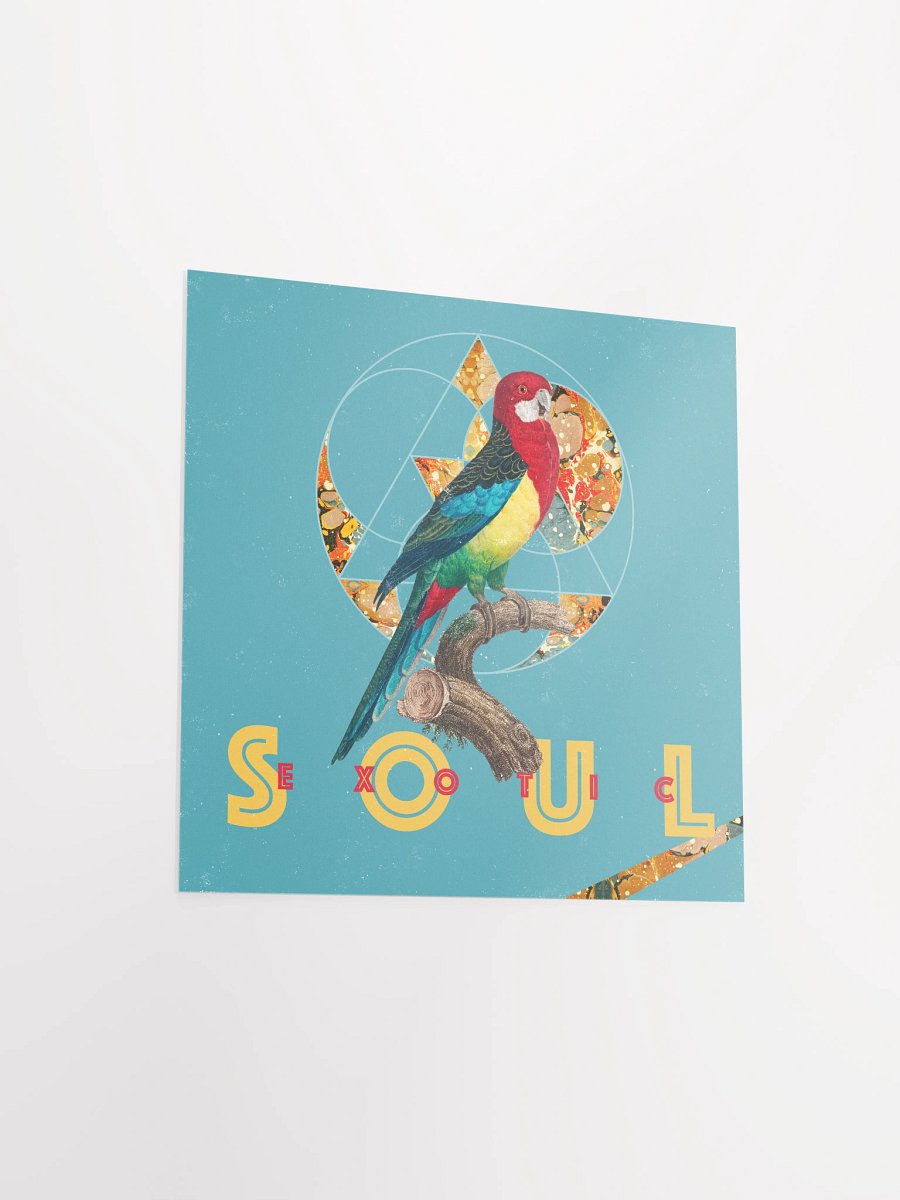 Vibrant Parrot Perch Poster product image (12)