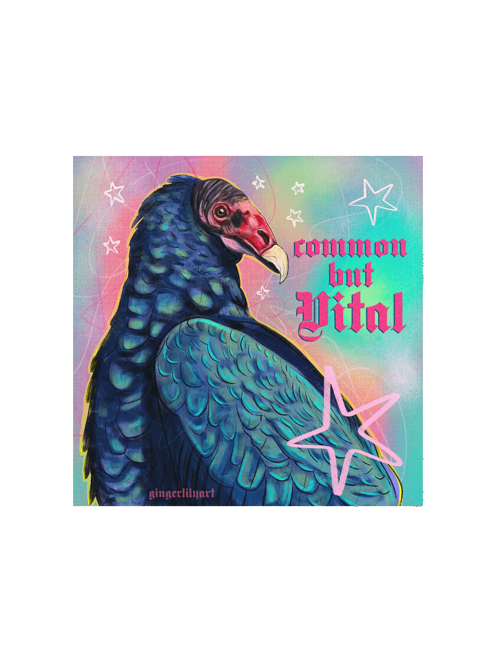 turkey vulture print product image (2)