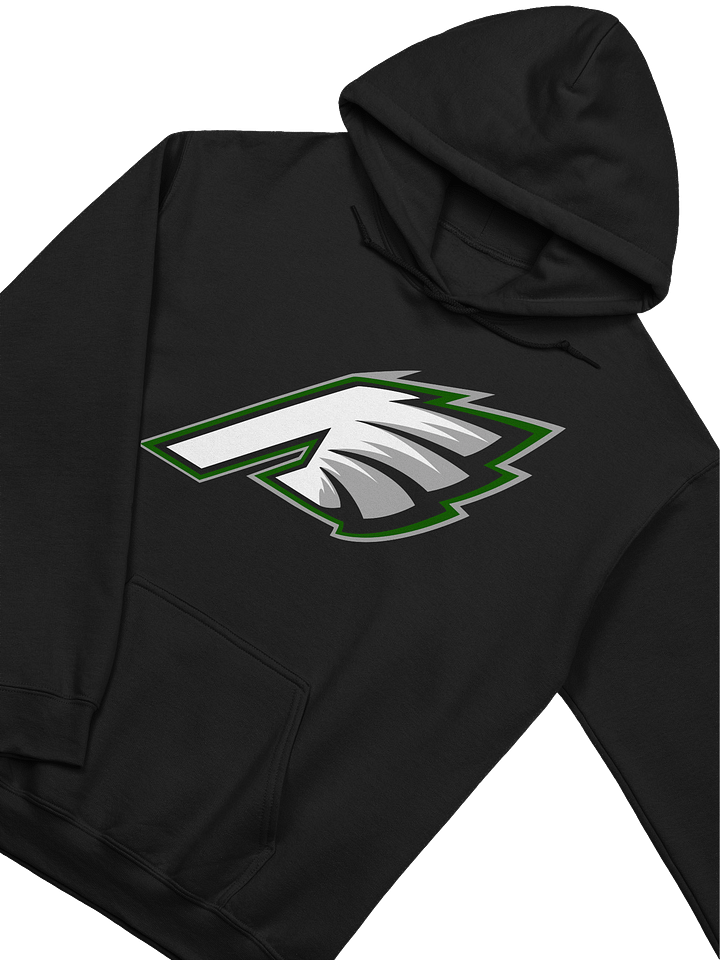 Ash Birds Hoodie product image (2)