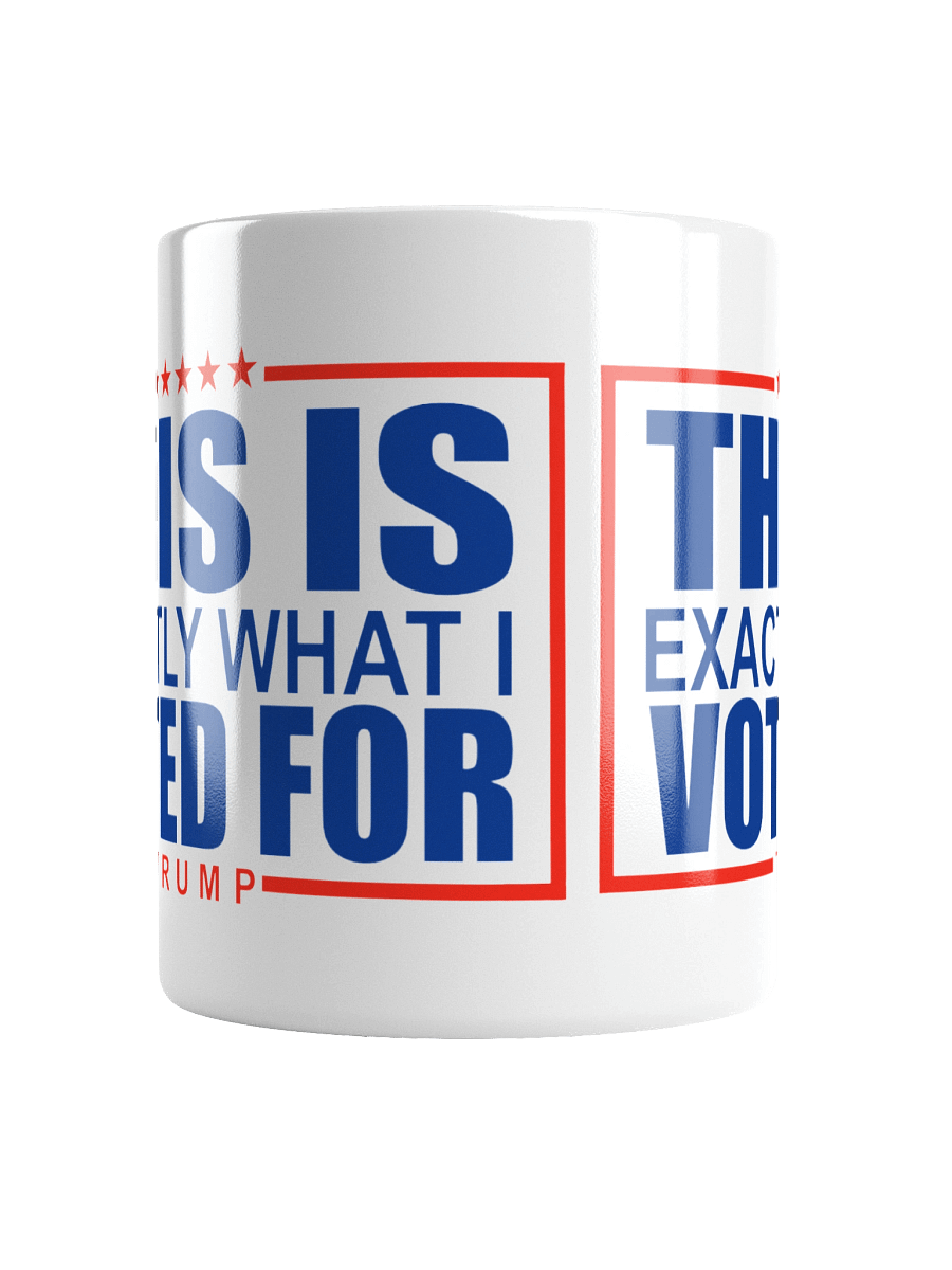 This Is What I Voted For Mug product image (11)