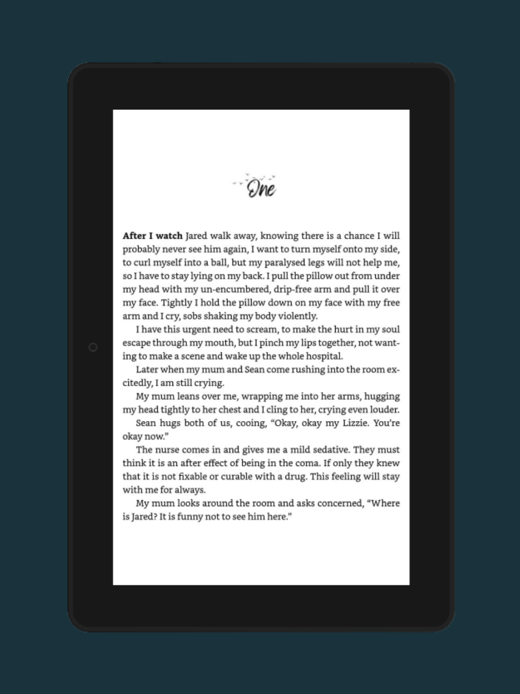When Destiny Collides (Recycled Souls #2) product image (3)
