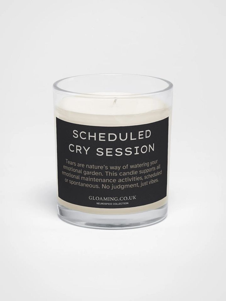 Neurospice: Schedule Cry Session product image (1)