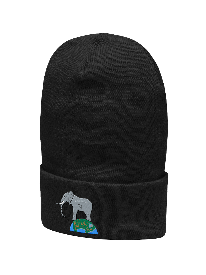 Elephant In The Room beanie product image (11)