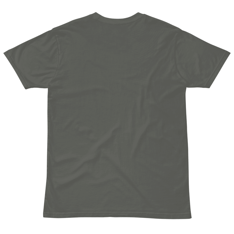 Make America America Again - Black Text - Premium Unisex T-Shirt product image (13)