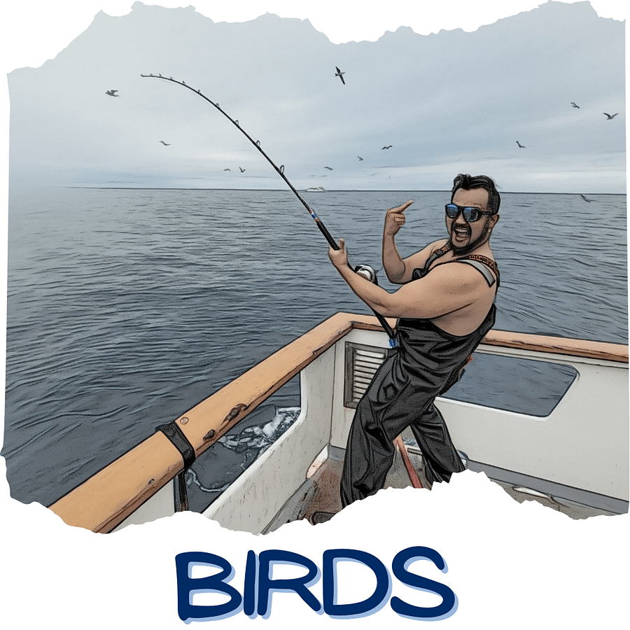 Birds Tee Shirt product image (39)
