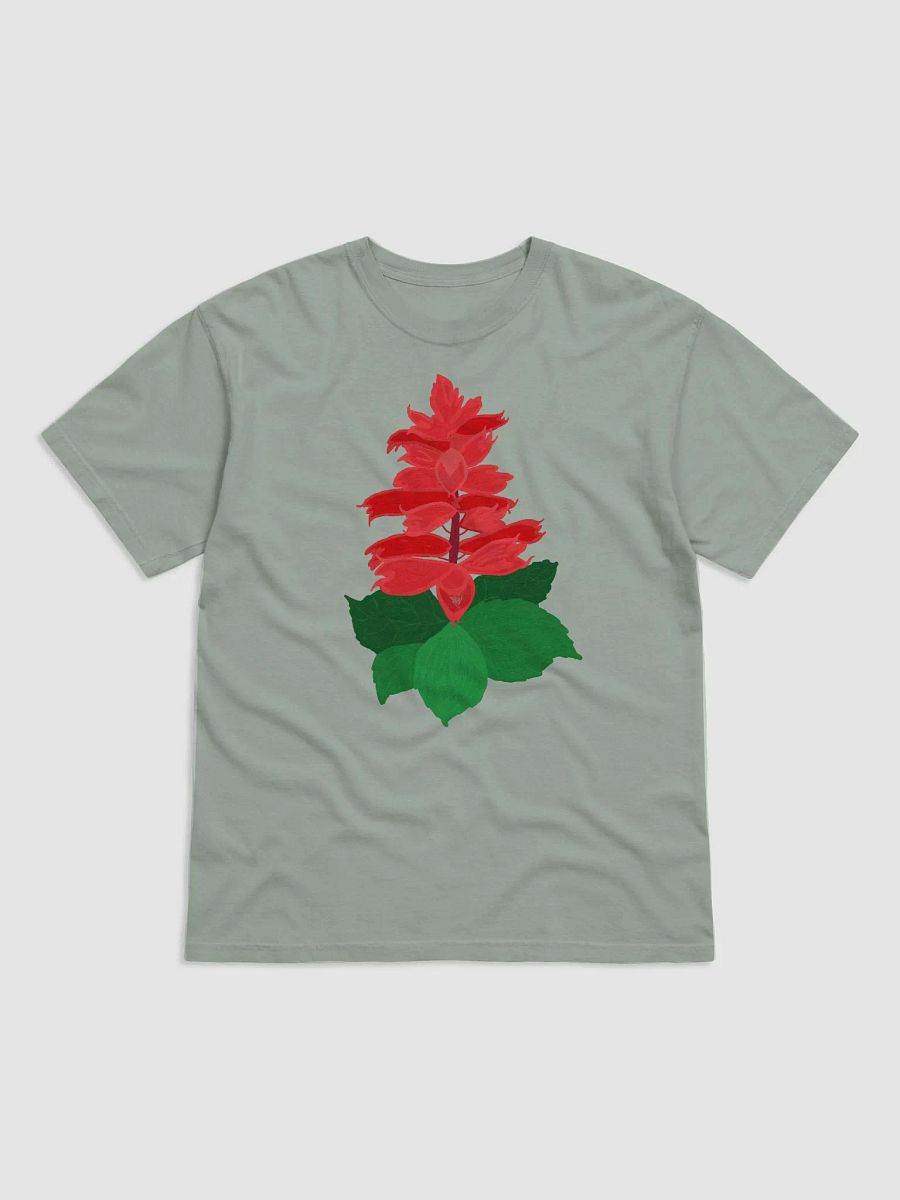 Salvia Splendens product image (1)