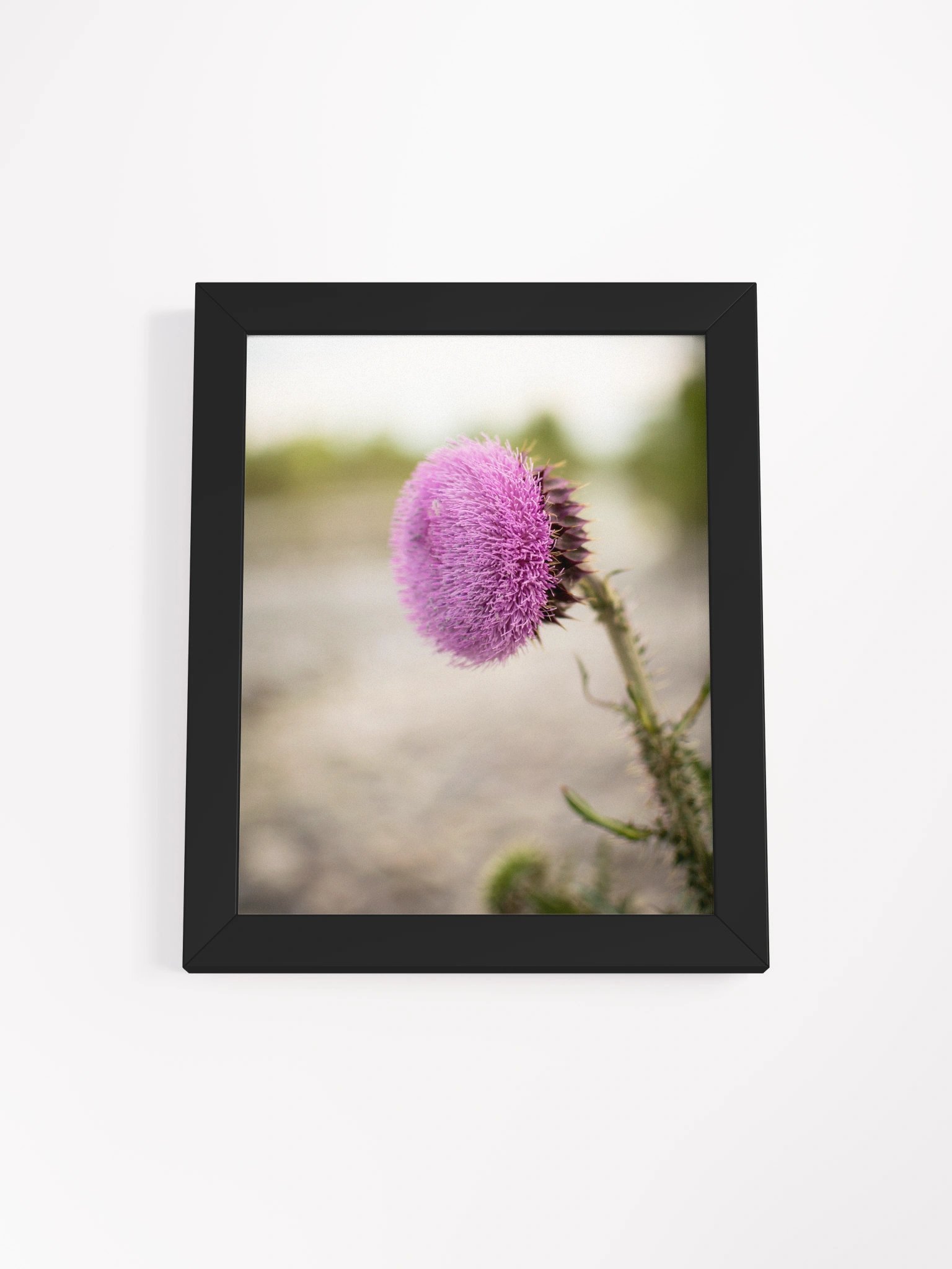 Flower - Blackfoot, Idaho product image (1)