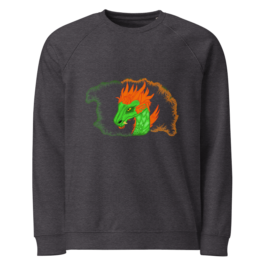 Dragon Crest Unisex Raglan Sweatshirt product image (1)