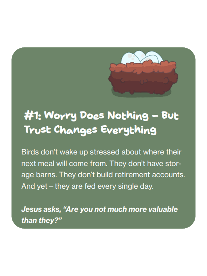 Do Not Worry: Trusting God for Provision product image (2)