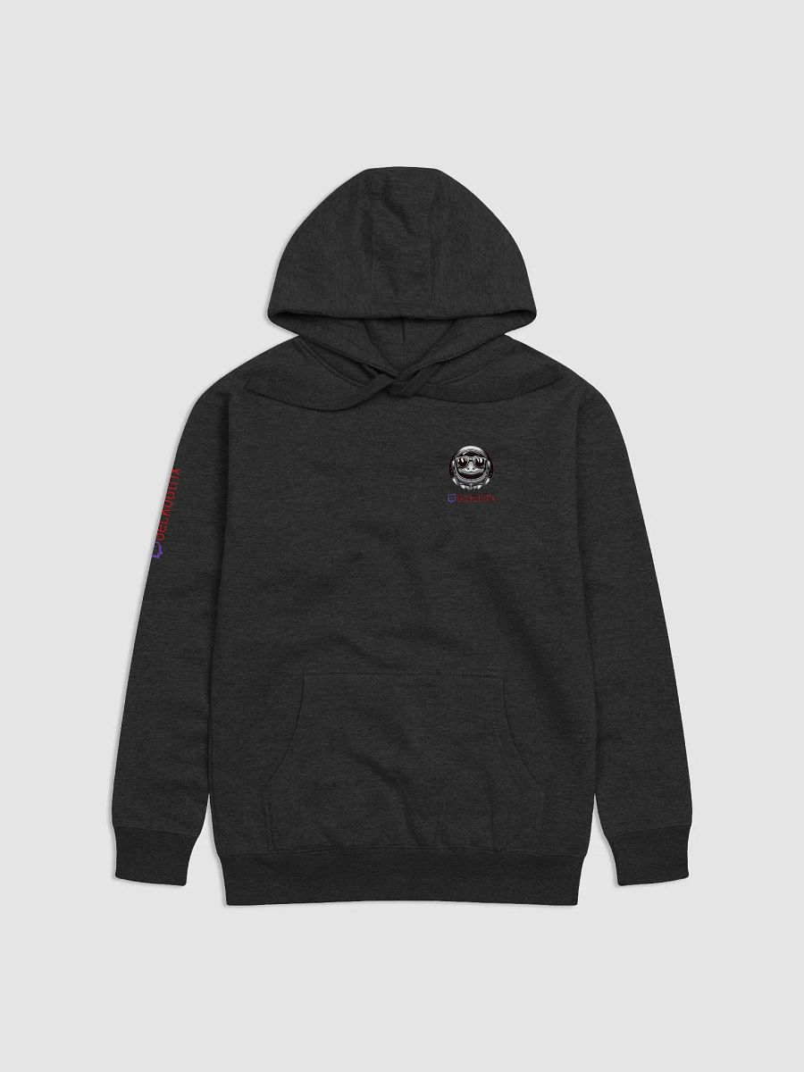 Iguana Unisex Premium Hoodie product image (1)