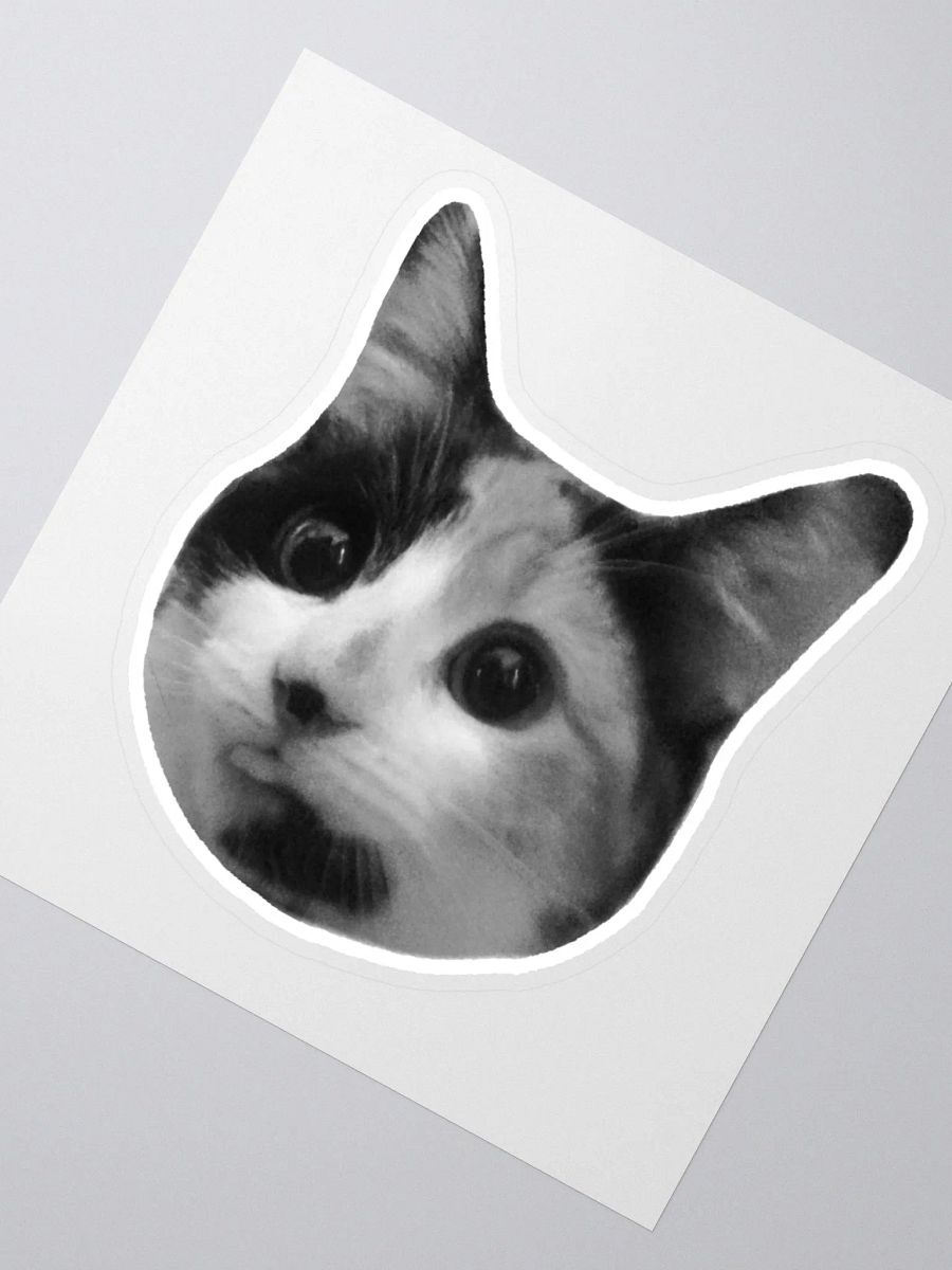 SPOINS - Sticker product image (2)