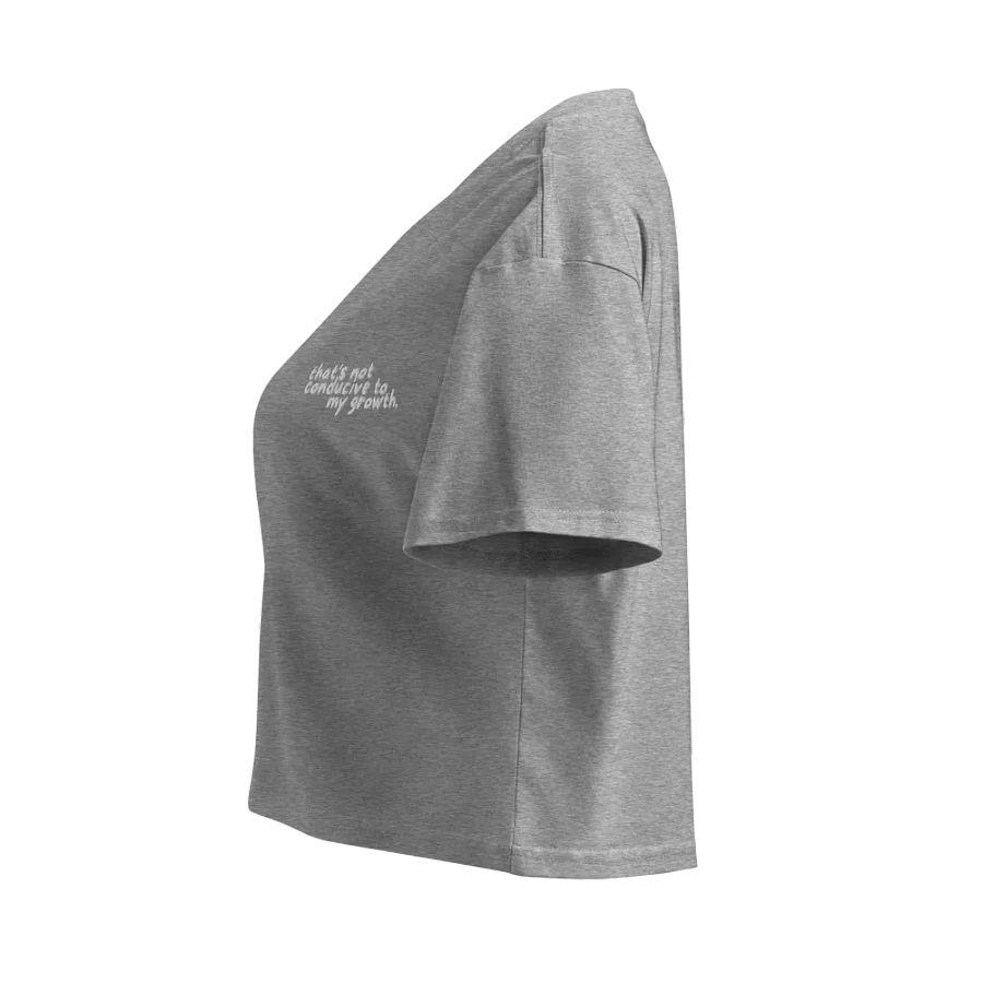Conducive Cropped Tee (Embroidered) product image (3)