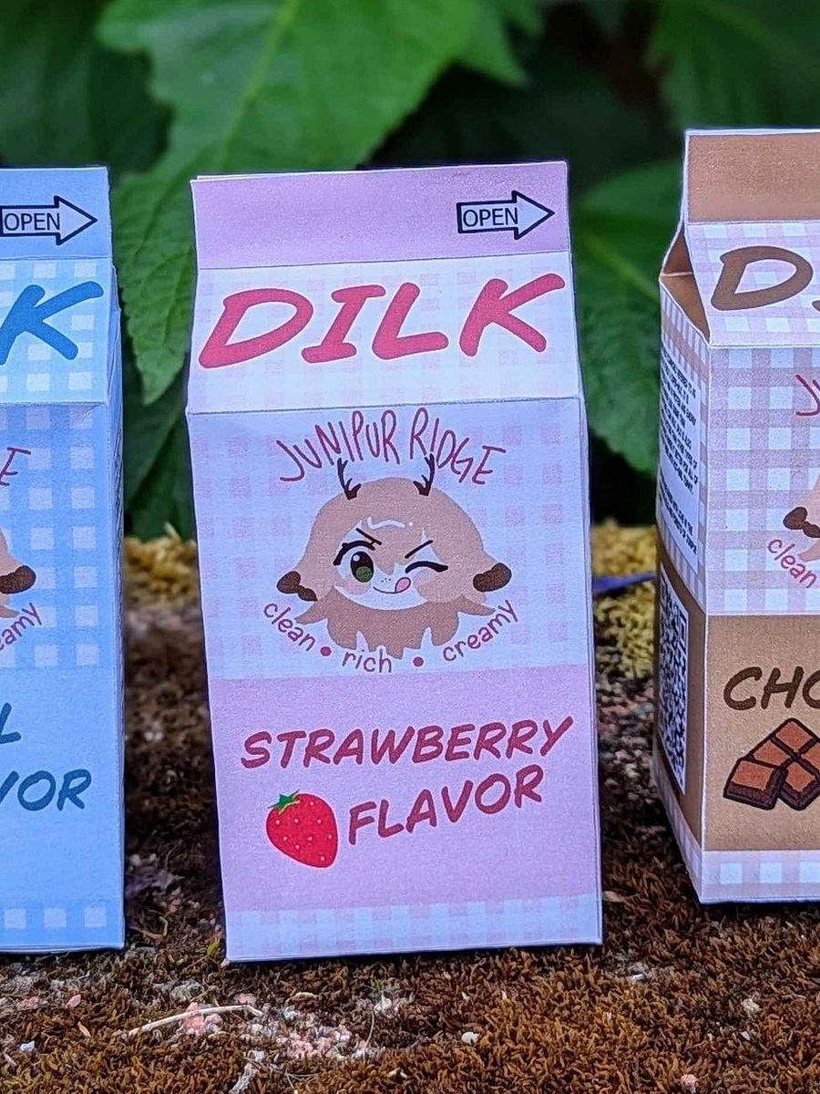 DIY DILK Carton! (DIGITAL DOWNLOAD) product image (1)