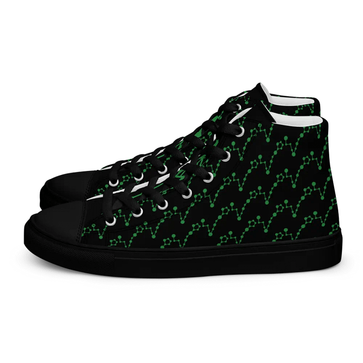 Pisces High Top Canvas Shoes product image (1)