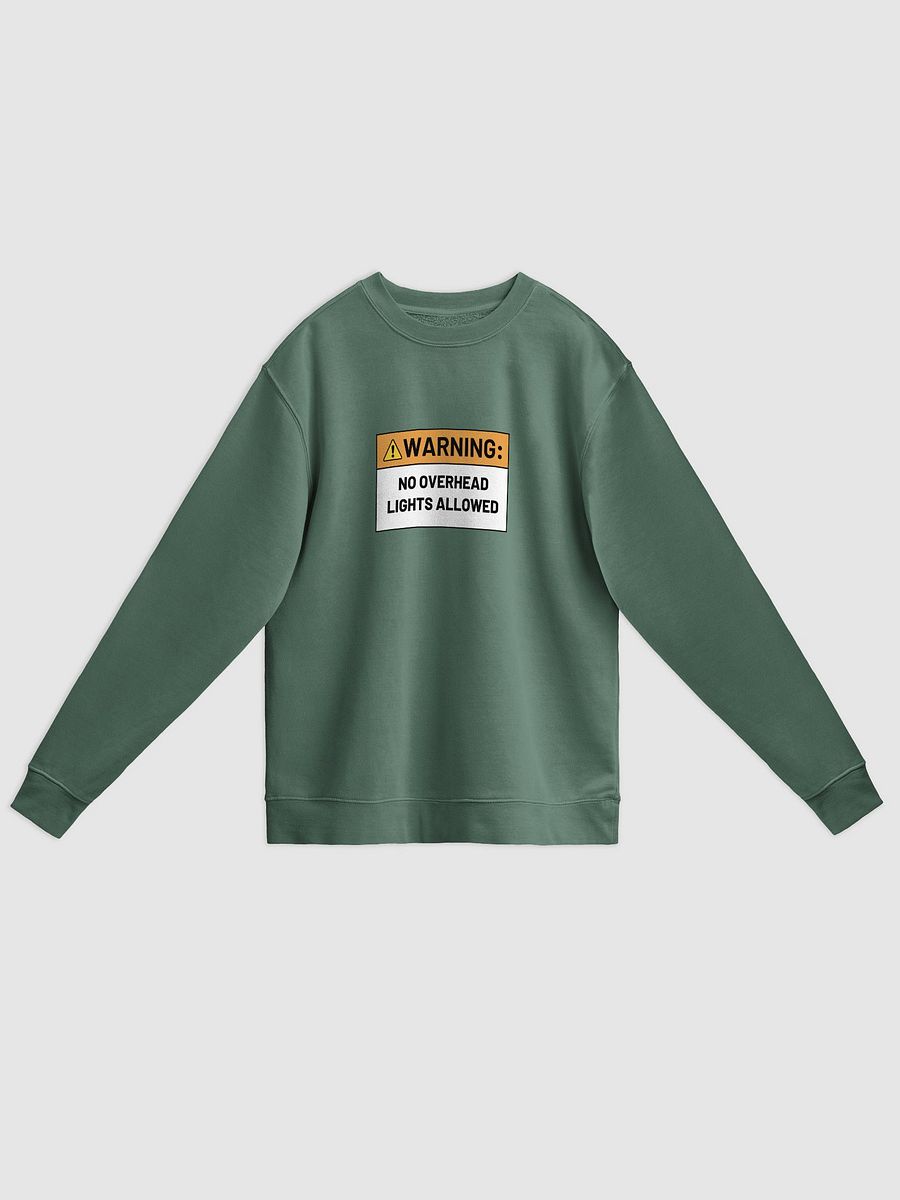 NO OVERHEAD LIGHTS printed pigment crewneck product image (7)
