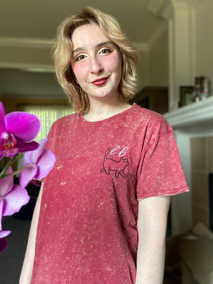 Beatrice Embroidered Tee product image (1)