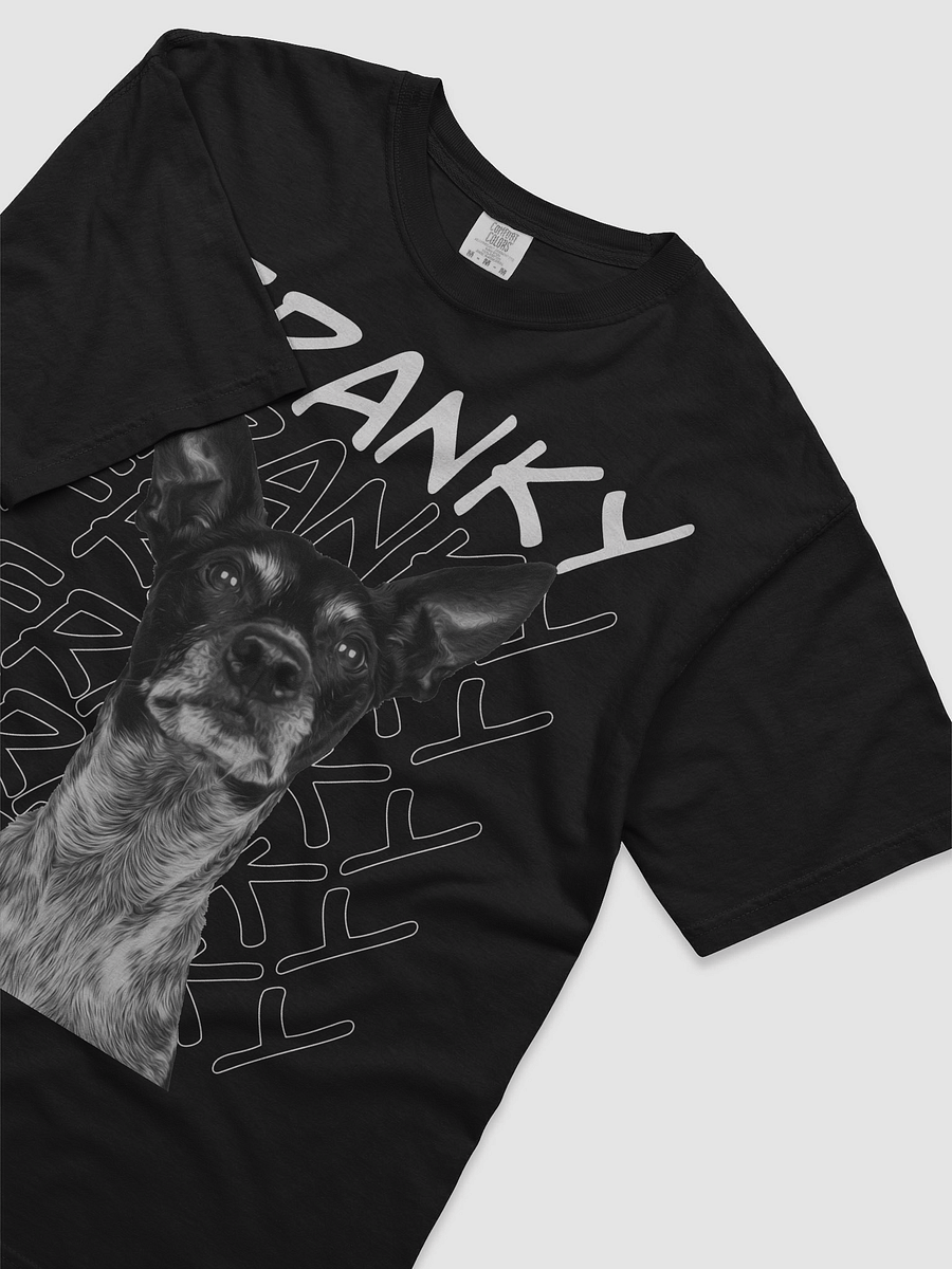 franky product image (3)