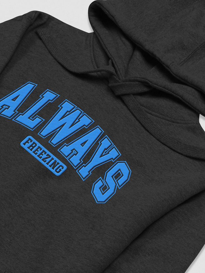 Always Freezing Embroidered Premium Hoodie product image (1)