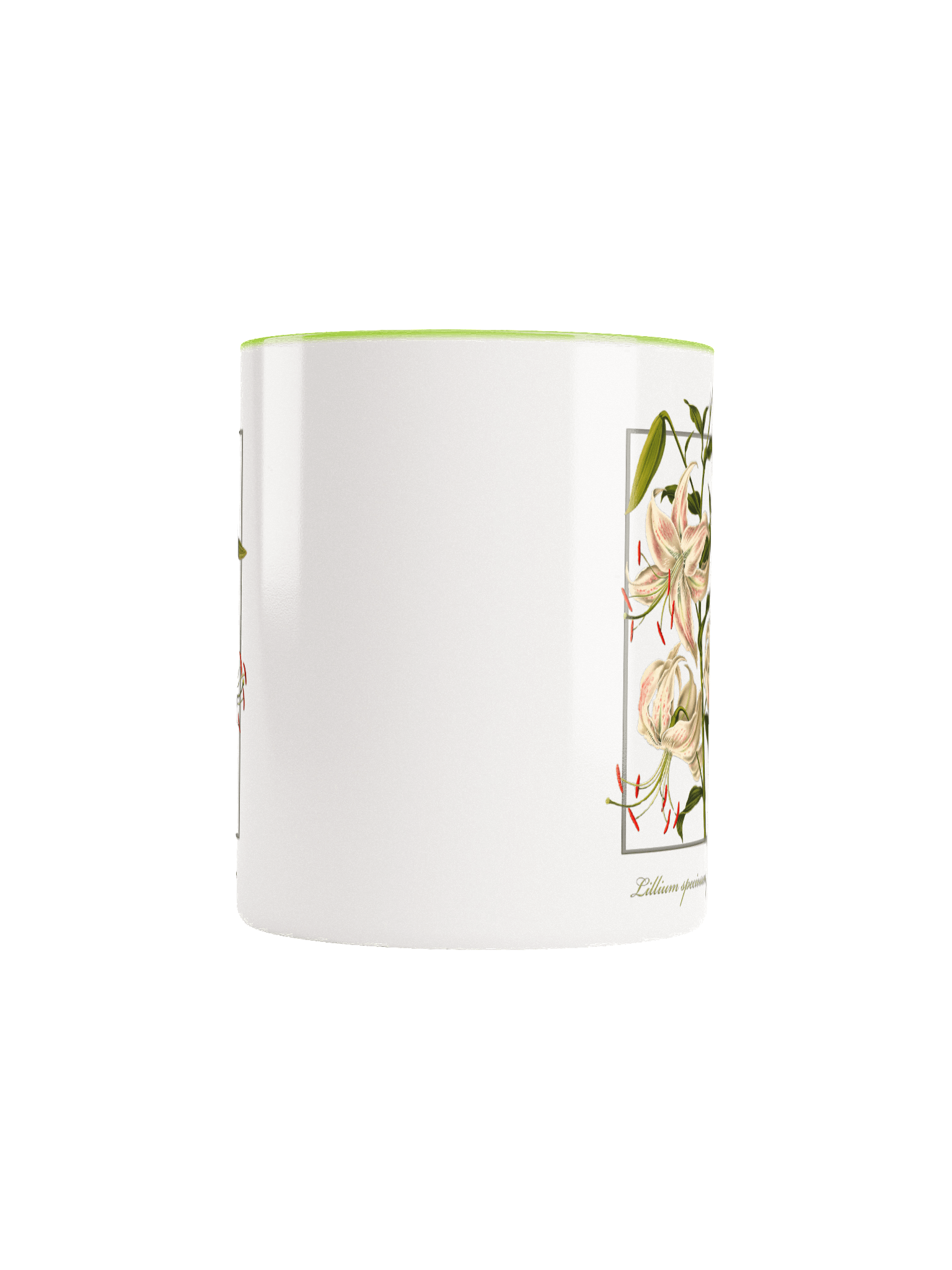 Japanese Lily, (Lilium speciosum) - Ceramic Mug product image (5)