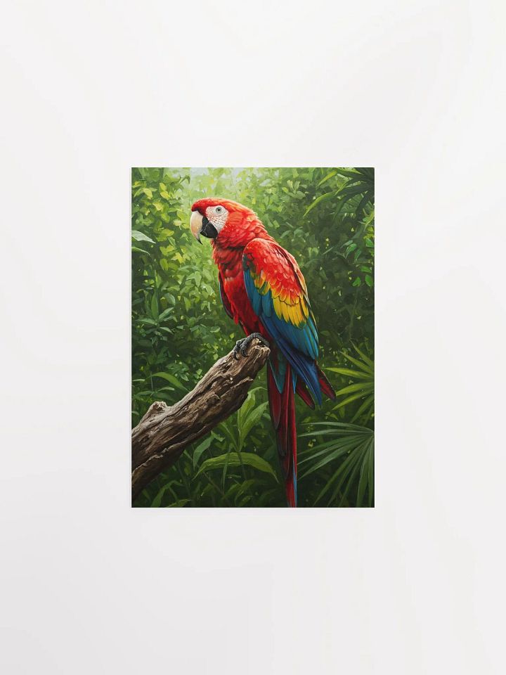 Scarlet Macaw Oil Painting Poster product image (3)