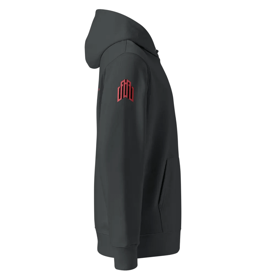 MZSG HOODIE product image (4)