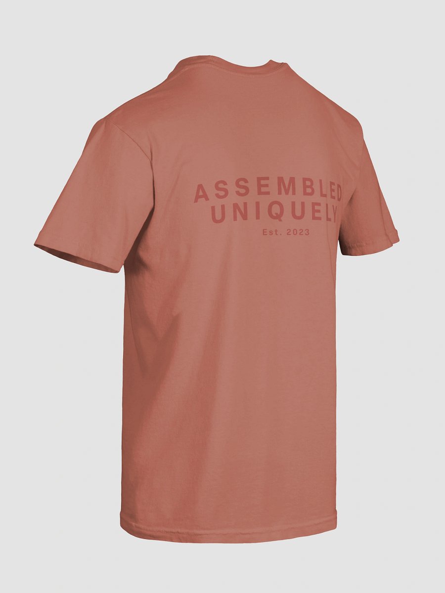The Empire Tee (Terracotta Berry) product image (10)