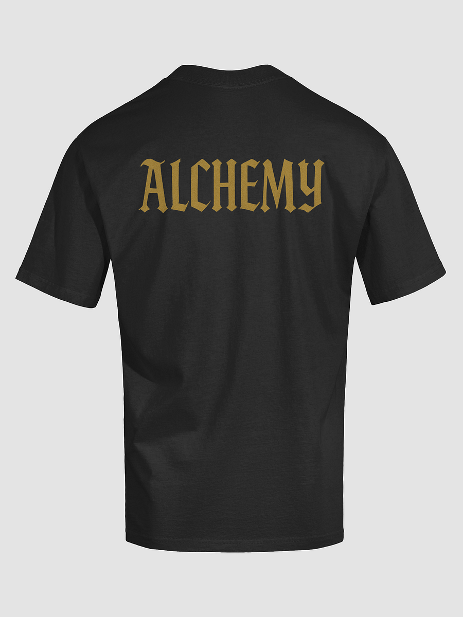 Ancient Life Oversized Tee product image (21)