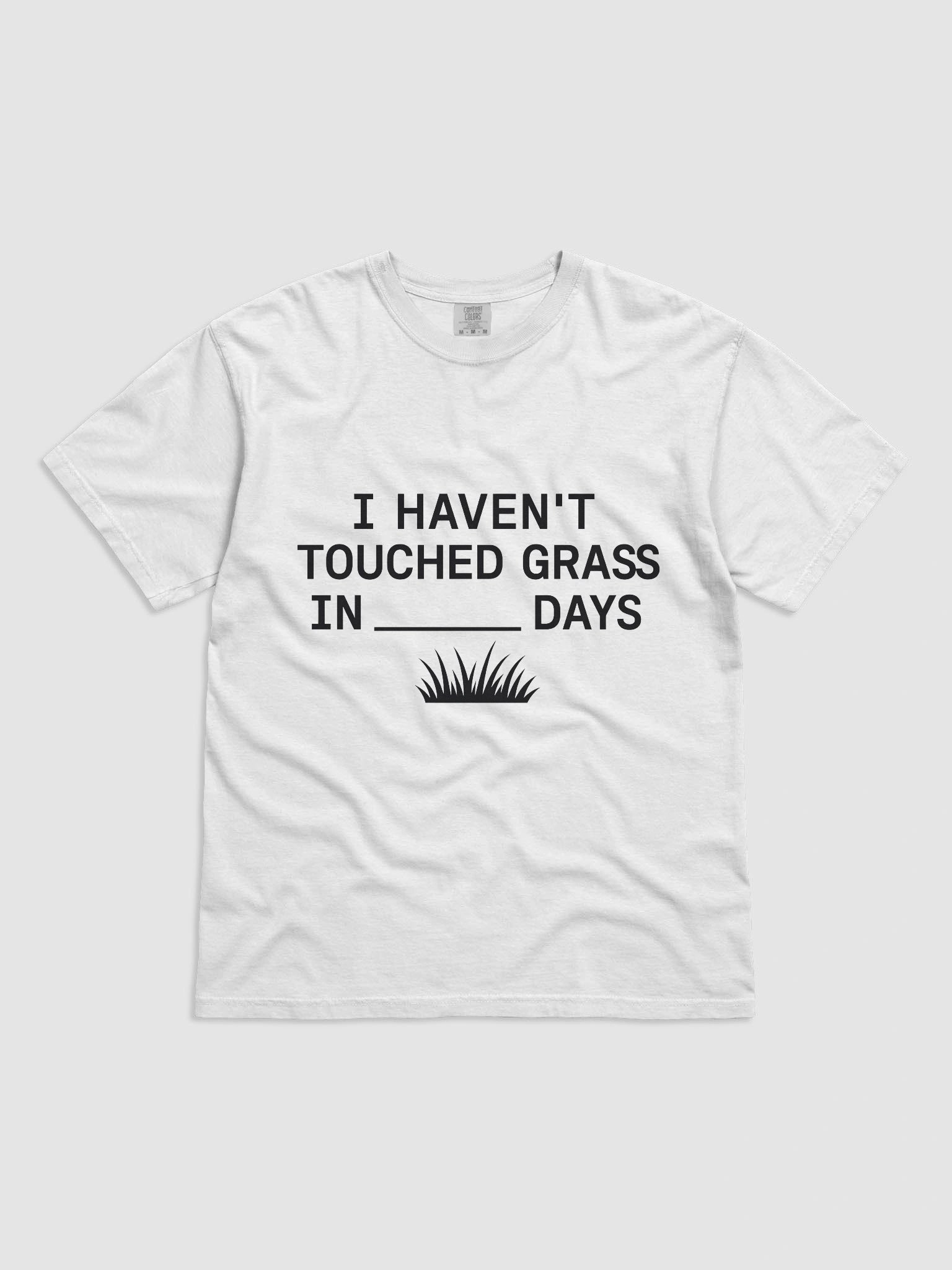 I Haven’t Touched Grass Tee product image (1)