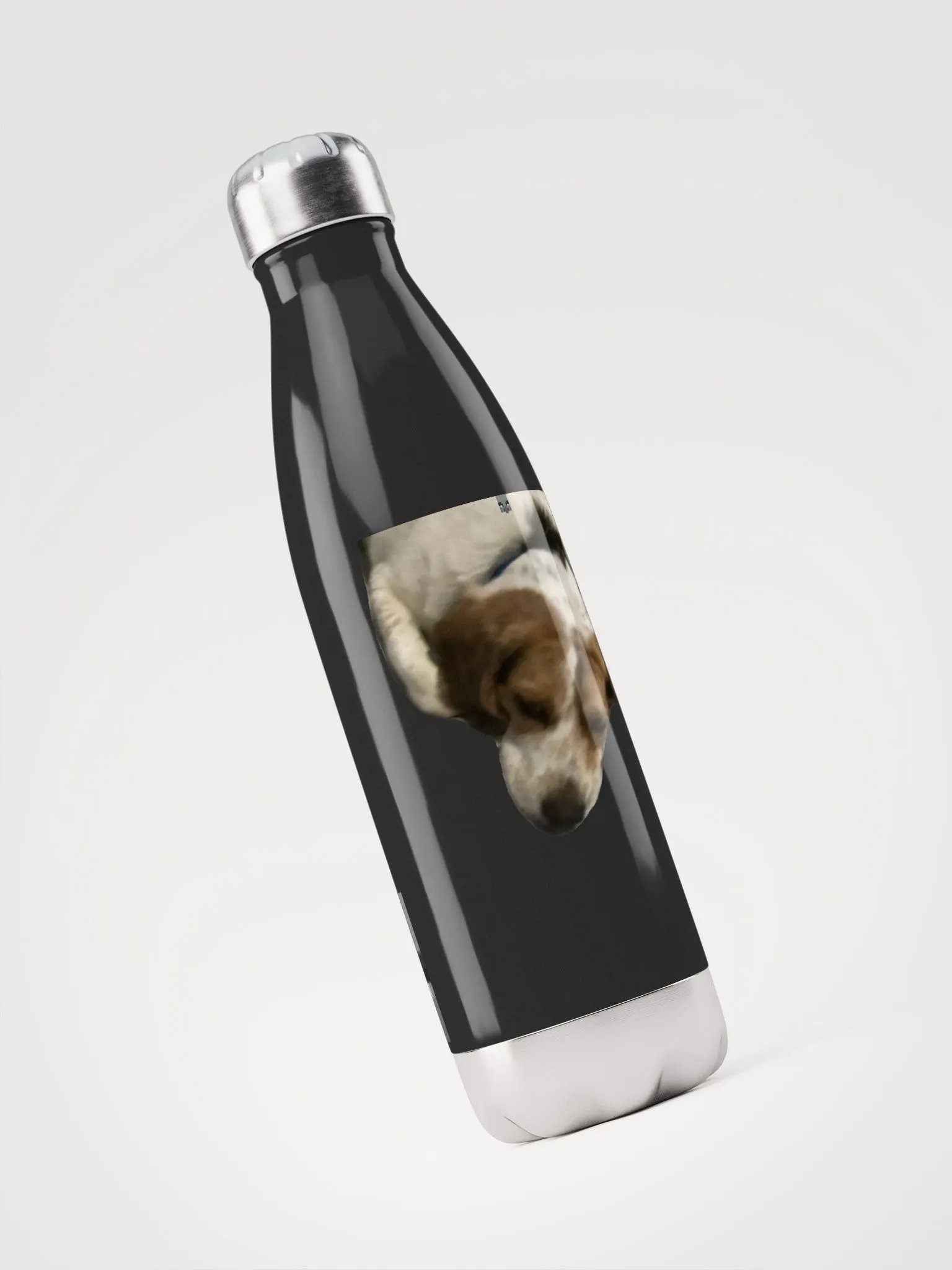 Stainless Water Bottle product image (5)