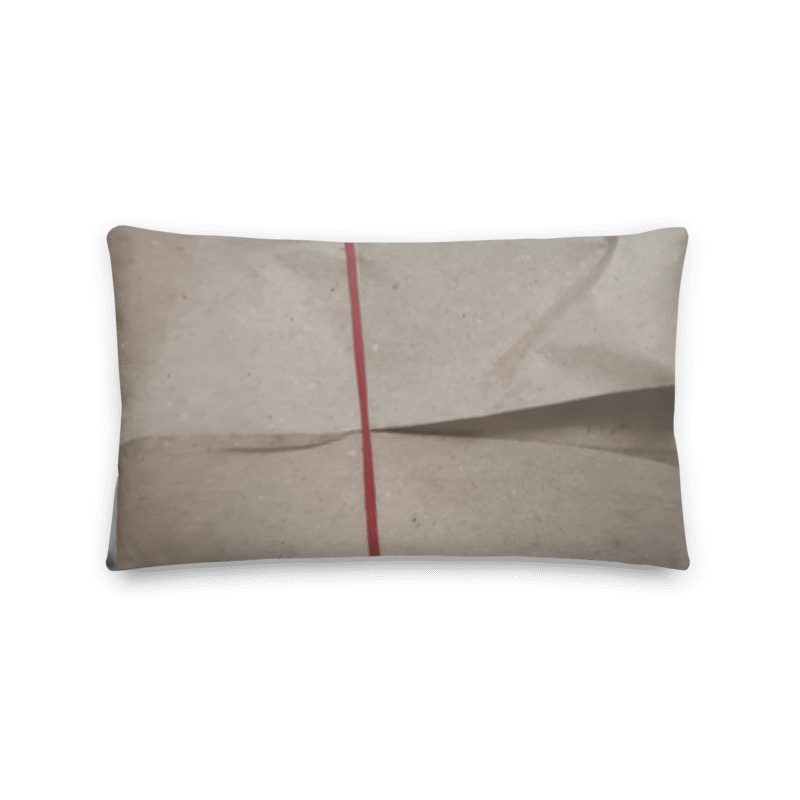 Char Siew Rice Decorative Pillow product image (6)