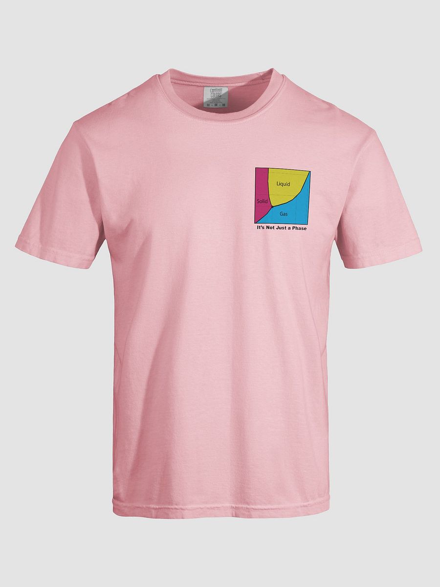 It's Not Just a Phase- Pan T Shirt product image (38)