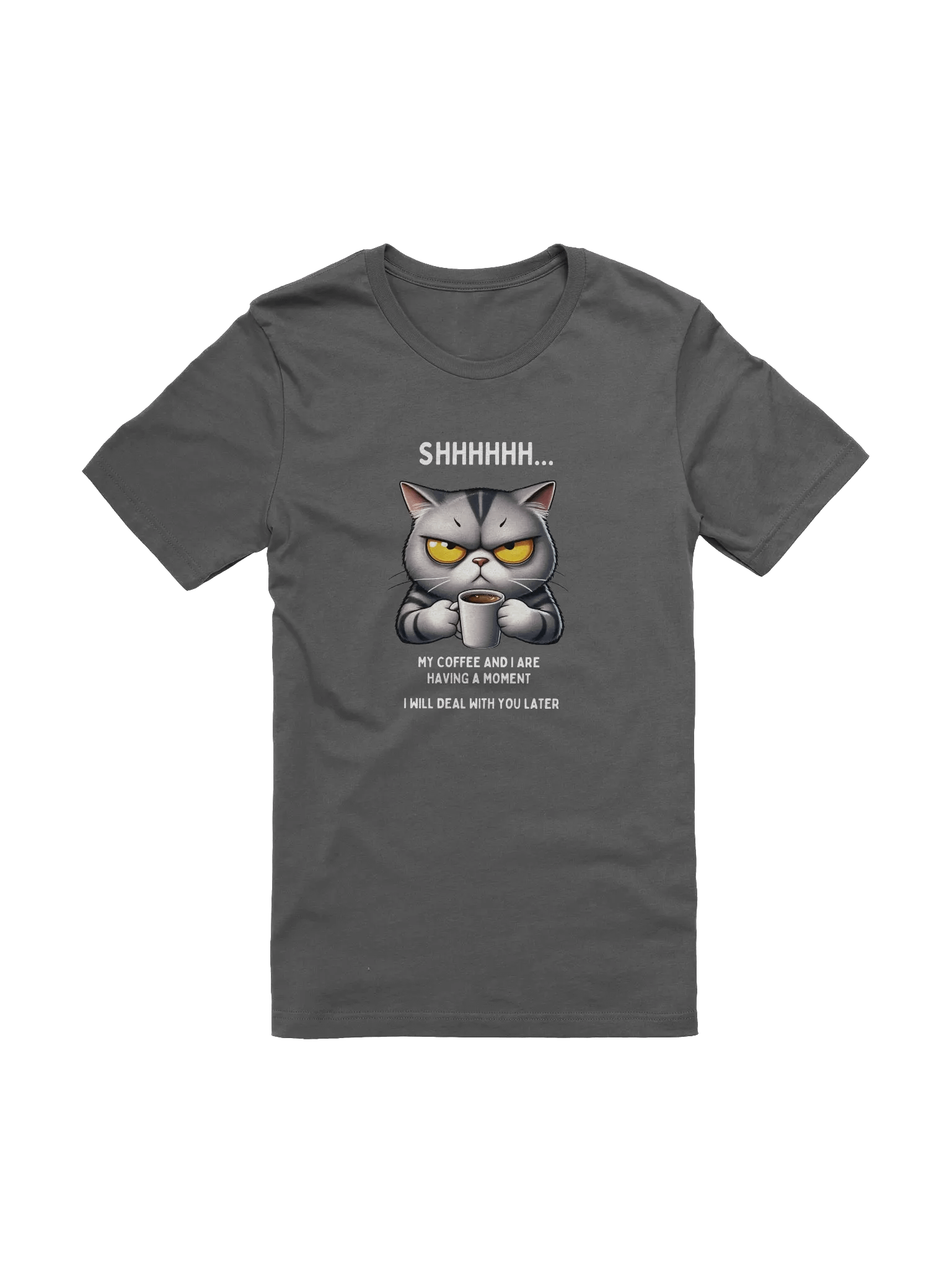 Grumpy Cat Coffee Moment T-Shirt product image (1)