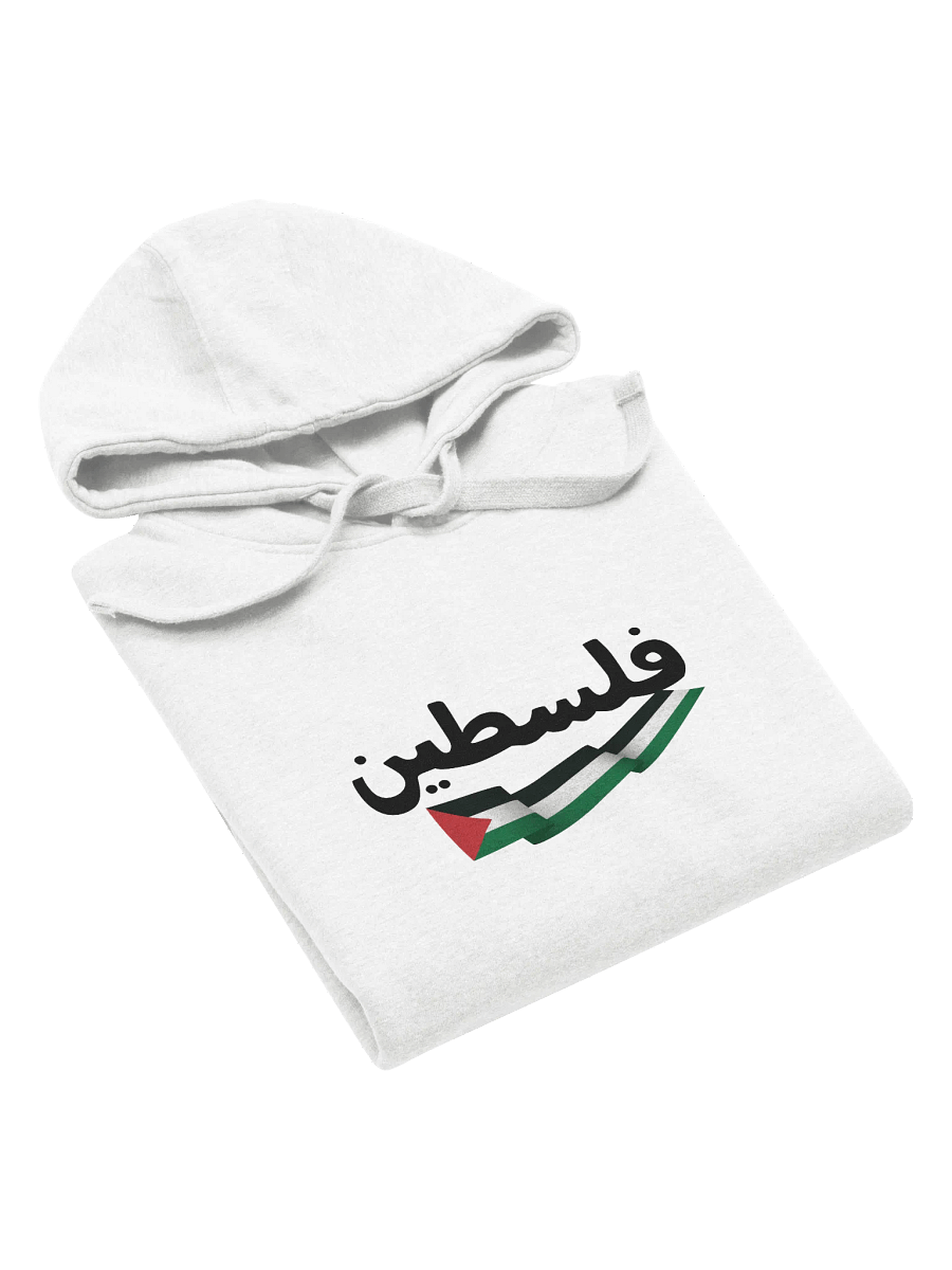 Freedom Hoodie product image (53)